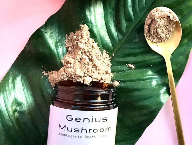 pretty mushroom latte blend