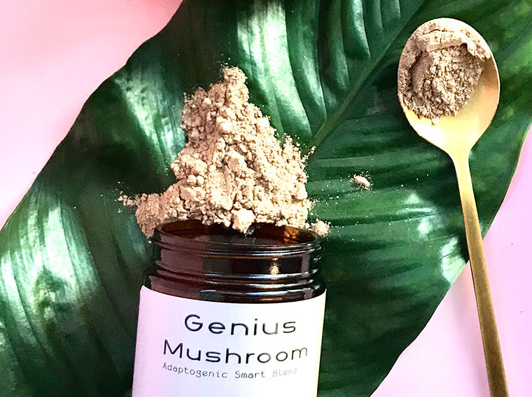 pretty mushroom latte blend