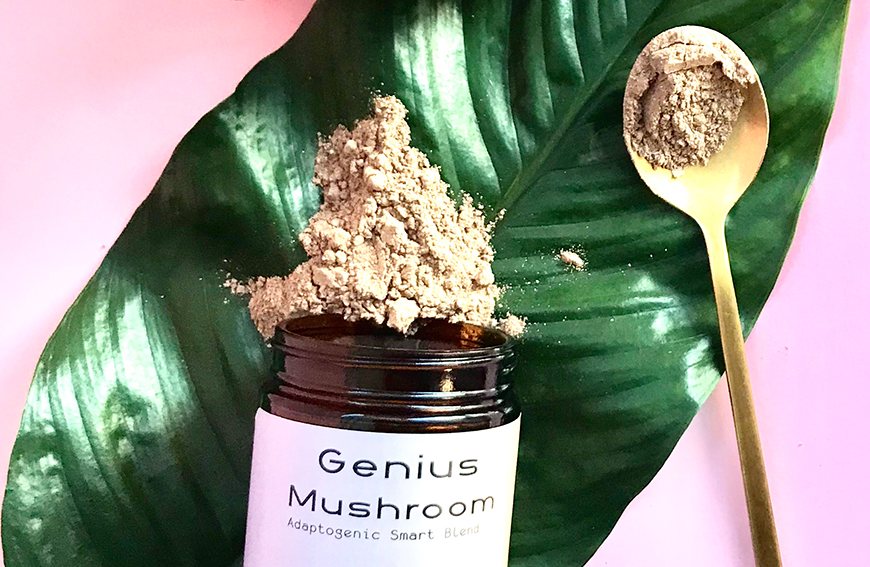 pretty mushroom latte blend